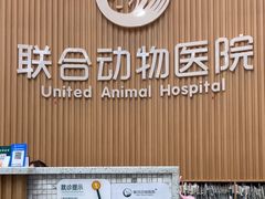 -联合动物医院(光谷诊疗中心)