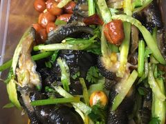 -杨氏青龙虾·羊蝎子(托乐嘉店)