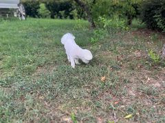 -盐官日光域房车营地·有盐餐厅