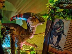 -恐龙探索乐园(磁器口店)