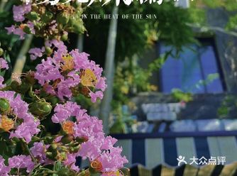 打卡瑞光创意工厂的那些花儿~~