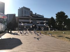 -台场海滨公园船码头