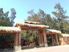 -北海金海湾红树林生态旅游区