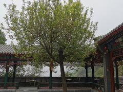 -妙峰山风景名胜区