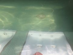 -鱼凫国都大酒店温泉