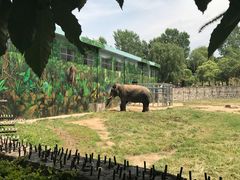 -西安秦岭野生动物园