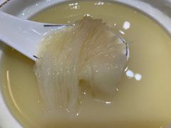 -顺德了能馆(虎门店)