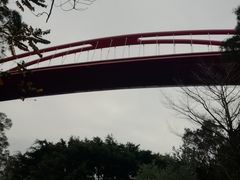 -金鸡山公园