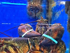 -船梆煮•蒸汽海鲜·炉火烤肉(五四广场店)