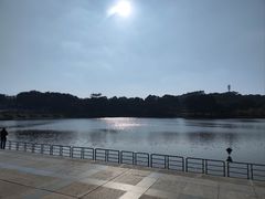 -东莞植物园