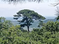-青岩寺风景区