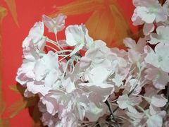 -学习谷日语培训日本留学·多语种外语教学(海淀人大分部)