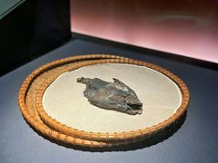 -盘龙城国家考古遗址公园