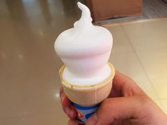 普通冰激凌-DQ·蛋糕·冰淇淋(天通苑华联店)