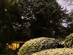 -老房子金沙元年川菜食府·花园餐厅(金沙店)
