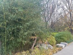 -宣武艺园