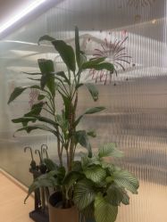 -归位瑜伽＆普拉提馆
