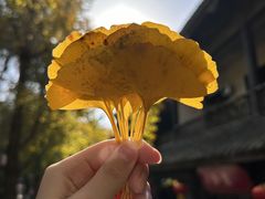 -黄龙溪古镇