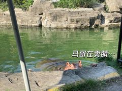 -上海野生动物园
