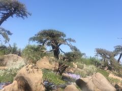 -罗红摄影艺术馆