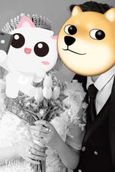 点击看大图 -太郎花子婚纱摄影艺术中心