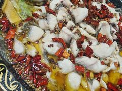 -金三可市井水煮鱼(金碧园店)