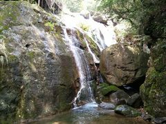 -东天目山风景区