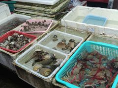 水产区-外伶仃岛海鲜市场