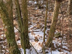 -浙西天池景区
