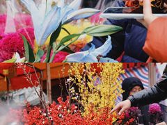 -天河体育中心