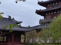 -江心屿景区