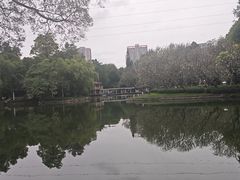 -晓港公园