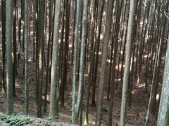 -山王坪喀斯特国家生态公园