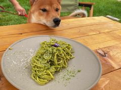 -Supine Bistro溯泮餐厅