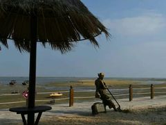 -北海金海湾红树林生态旅游区