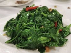 豌豆尖-阿诺泰·泰国餐厅(棕北店)