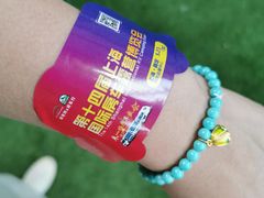 -上海汽车会展中心