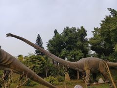 -自贡恐龙博物馆