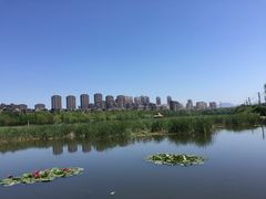 -前关湿地公园