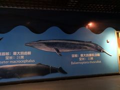 -秦皇岛新澳海底世界