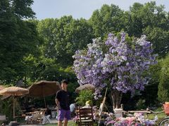 -HERRE·FARM 赫尔露营农场·团建聚会包场