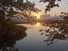 -月湖风景区
