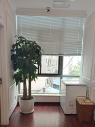 -武汉五洲整形外科医院