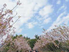 -观澜湖生态运动公社
