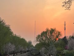 -海棠花溪(元大都城垣遗址公园)