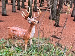 -青山湖景区