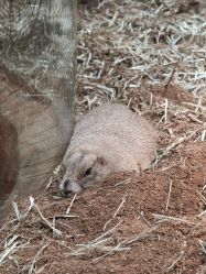 -Zoolung Zoolung动物主题公园(海信广场店)