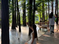 -东湖落雁景区