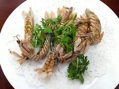 -望海潮海鲜店 特色家常菜(在海一方店)