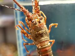 -烧货·活海鲜炭烧(湖滨商业街店)